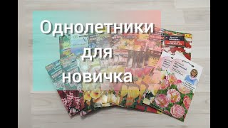 Однолетники для новичка//Обзор семян 2021//Цветы без рассады//Посев в мае в открытый грунт.