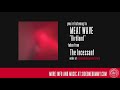 Meat Wave - Birdland (Official Audio)