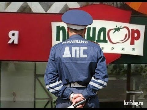 ГОЛУБАЯ ВЛАСТЬ