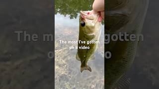 The most I’ve gotten on a video