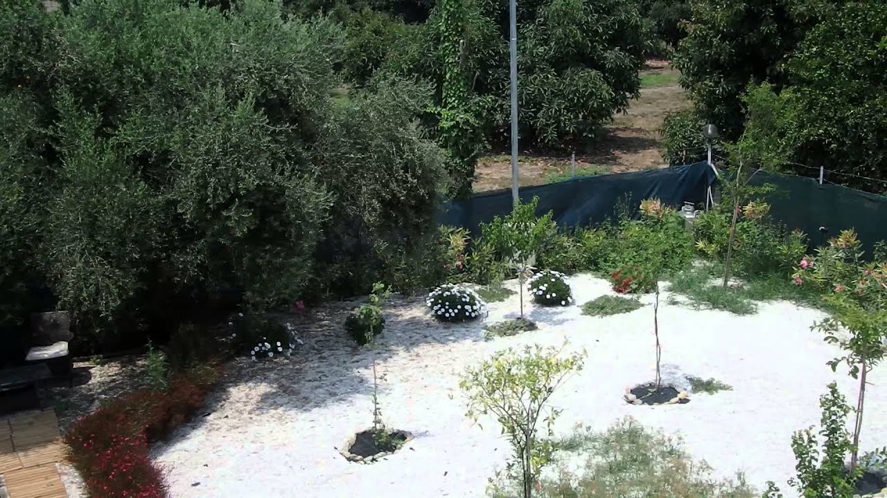 apartment for rent in Chania Crete. green orange villa view from the