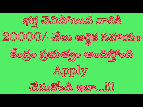 How to apply NFBS scheme complete in telugu ...!!!!