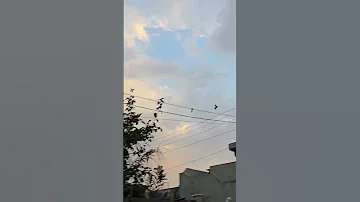 كل شي طاشصباح الخير يوجه الخير حجي هادي HajiyHa 