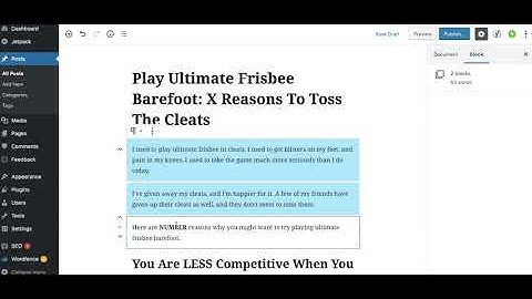 Wordpress Word Count