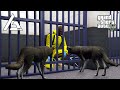 GTA 5 Roleplay - ARP - #276 - Derpy Dingo Jail Break!