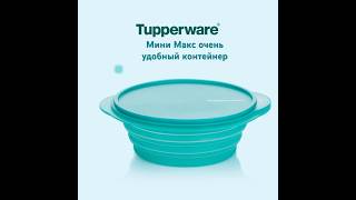 Мини Макс Tupperware #хранение #транспортировка