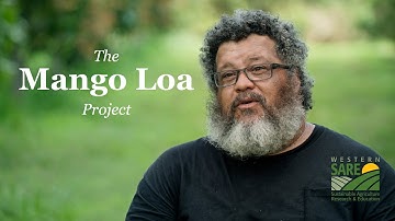 The Mango Loa Project