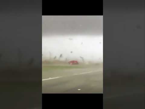 Video: Val in Florida: Weer- en gebeurtenisgids