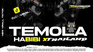 DJ Temola x Thailand Style Slow Party X Pargoy Melody Habibi Karnavalan Virall Tiktok 2025
