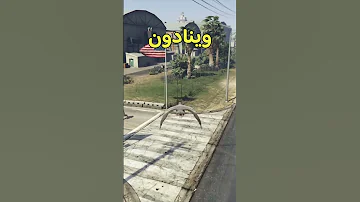 حتى الطيور ممنوع عليهم يدخلون القاعدة العسكرية في قراند ٥ GTA5 قراند5 قراند 