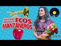 ECOS MANZANEROS CON SABOR A MANZANA MARIMBAS DE GUATEMALA CD COMPLETO