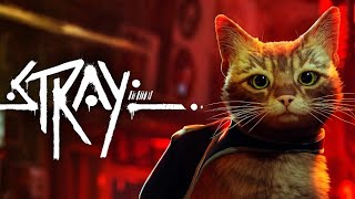 Stray