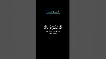 سورة التوبة ألم يعلموا أن الله يعلم سرهم بصوت القارئ ياسر الدوسري #ياسرالدوسري #قرآن #قرآن_كريم