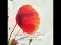 4月26日|えっ、「虞美人草」って、実在の人物が名前の由来だって知ってましたか?
