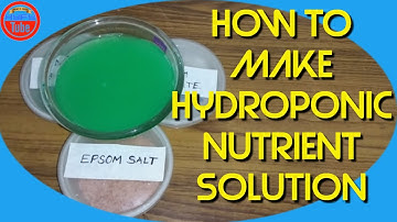 DIY Hydroponic Nutrients: How to make Hydroponic Nutrient Solution at Home | Hydroponic Fertilizer