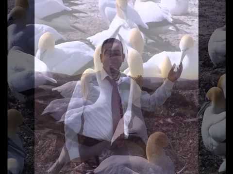 يا هاجر اياد العمر باقة ميوزك