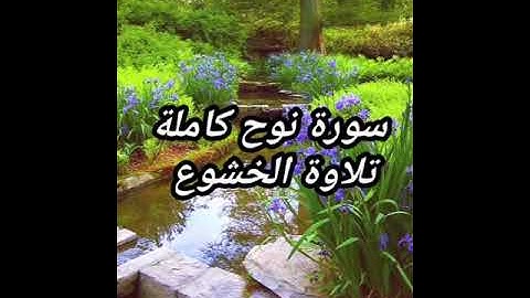 قارئ احمد خضر . سورة نوح كاملة ✨🎧