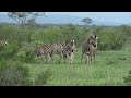 Kruger National Park, South Africa