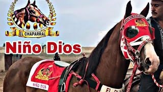 EL NIÑO DIOS - EL RG ROGELIO GARNICA