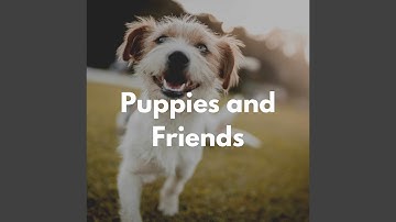 Pulsating Ambiance for Slumbering Pups