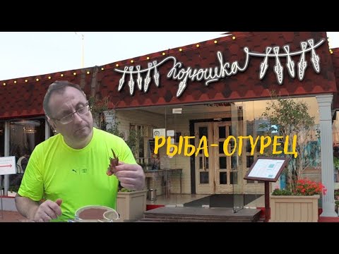 Панорамный Ресторан "Корюшка" | Санкт-Петербург | Набережная Петропавловской крепости