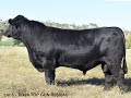 Texas TOP GUN R66 - Lot 6