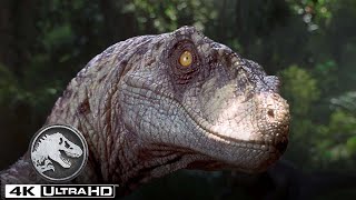 As Melhores Cenas de Velociraptor em 4K HDR | Jurassic World