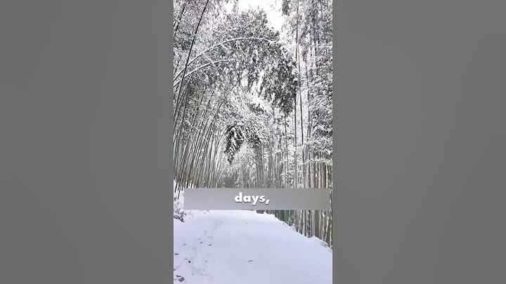 Mythical Bamboo Bead: Nature’s Snow Treasure#BambooBead #RareNature