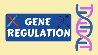 5 types of eukaryotic gene regulation