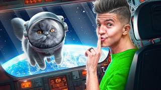 Preston Sent My Cat To Space