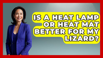 Is A Heat Lamp Or Heat Mat Better For My Lizard? - Reptilian Wonders