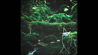 Takeshi Kokubo - Rain Forest Mix