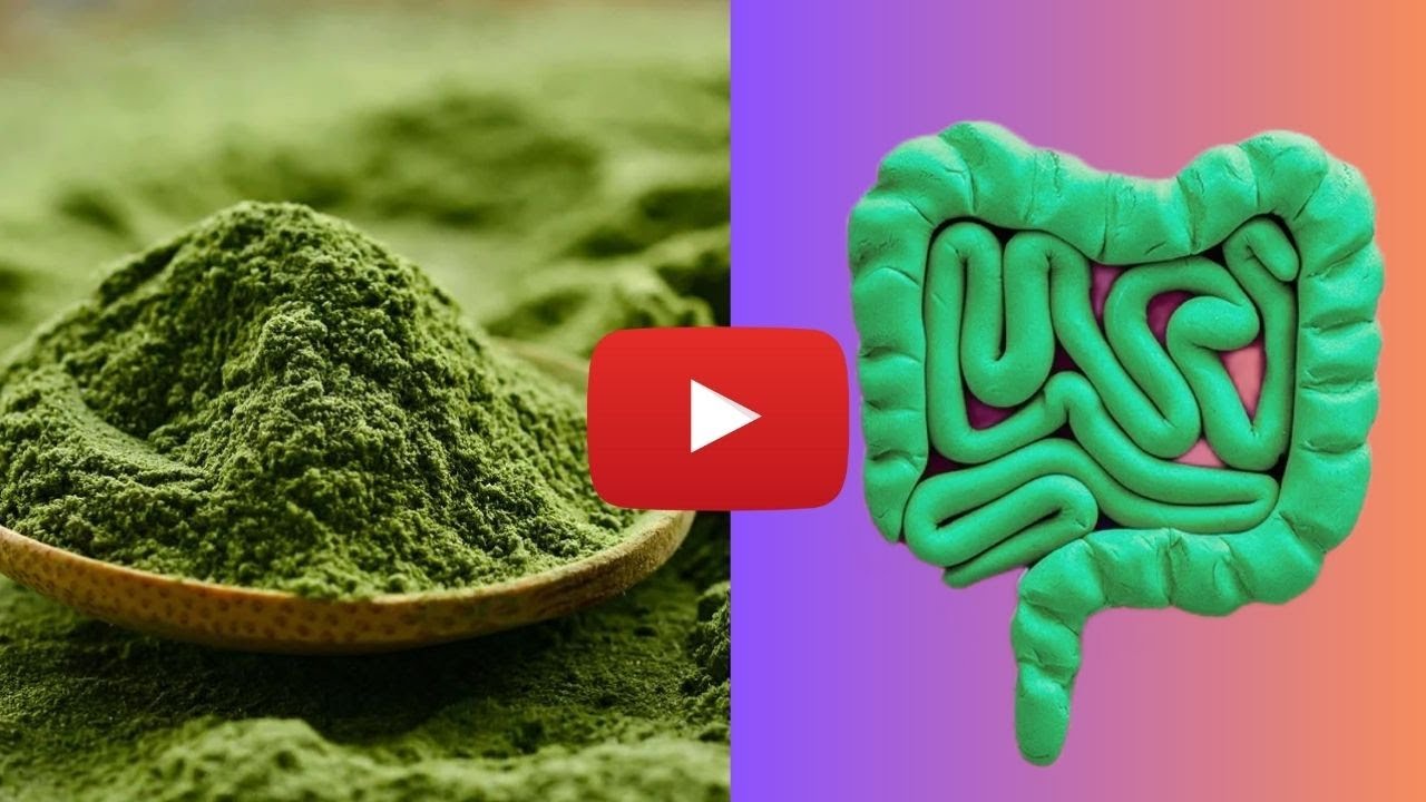 Up to 40 Pounds of Toxic Poop in Our Body?