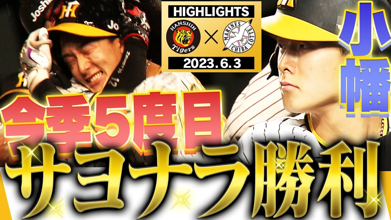 阪神VSロッテ 6月19日 3塁アルプス 3枚 （【6月3日 阪神-ロッテ】パ 