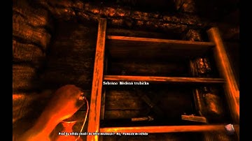Amnesia - The Dark Descent - gameplay - part 22 / 32