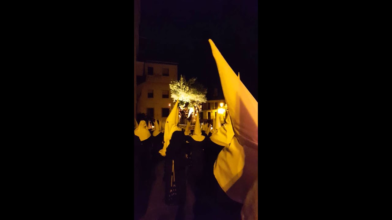 Curva de la audiencia. Huerto de San Esteban. 2016