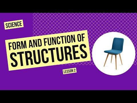 Form and Function of Structures | Science Lesson