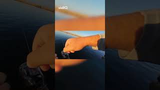 HOLY FISH! Massive Catch! PB! PB! PB!