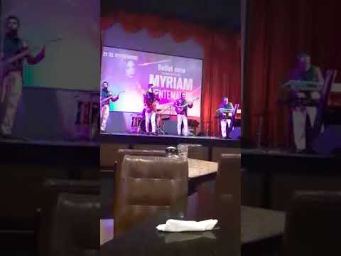 BirdsParty | Strat hotel casino