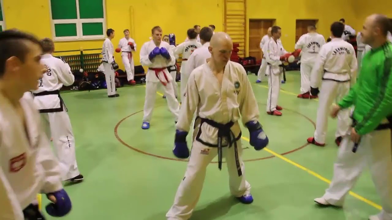 2018 ITF Union IIC - Master Don Dalton 8th Dan - Świdnik, Poland