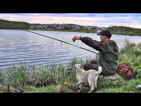 Видео: ТУРБО-КЛЁВ НА ЧЕСНОК! ЛОВИЛ КАРАСЕЙ НО ТУТ ПРИШЁЛ ОН!