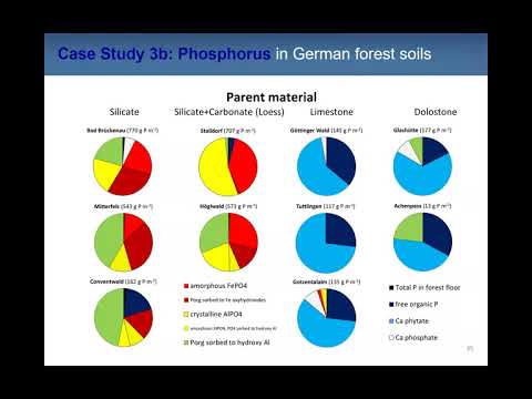 SR-based XANES: Speciation and cycling of bioelements  in environmental samples, Jörg Prietzel