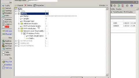 Agilent N2X Scalable BGP Protocol Emulation - Part 7 - Generic Transmit