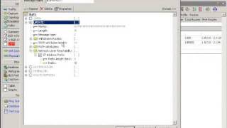 Agilent N2X Scalable BGP Protocol Emulation - Part 7 - Generic Transmit