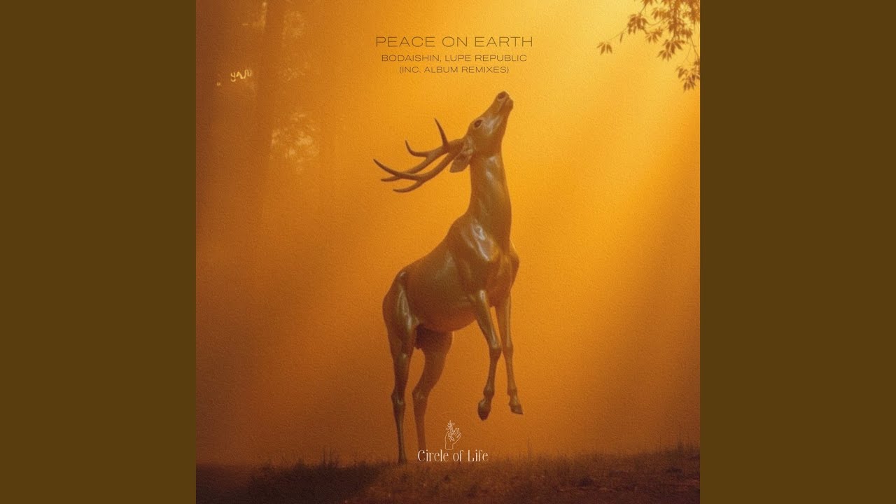 Peace on Earth (BiGz Remix)