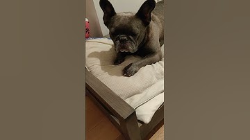 Boosted board mini x weird motor sound belts on