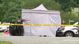 Man with hatchet fatally shot by officer; neighbor heard at least 6 shots