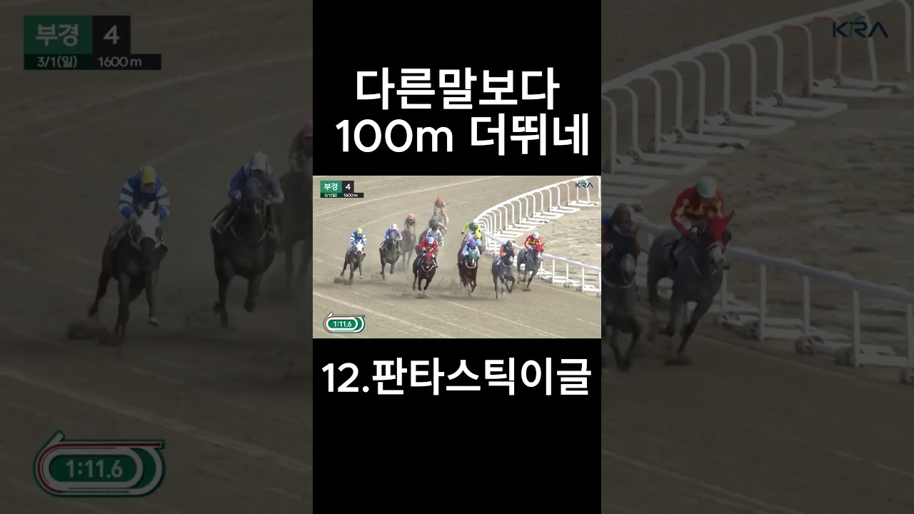다른 말보다 더 뛰네  #경마  #경마예상  #경마방송  #경마예상방송  #서울경마  #금요경마  #토요경마  #일요경마 #경마장