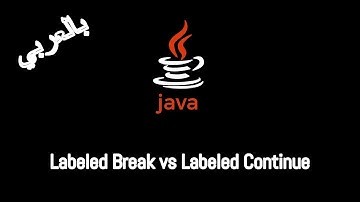 #017 [JAVA] - Branching Statements (Labeled Break / Labeled Continue)