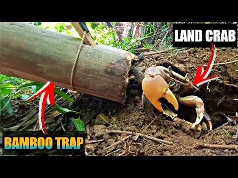 SURVIVAL MAKING BAMBOO TRAP  CRAB TRAP EASY TO MAKE 